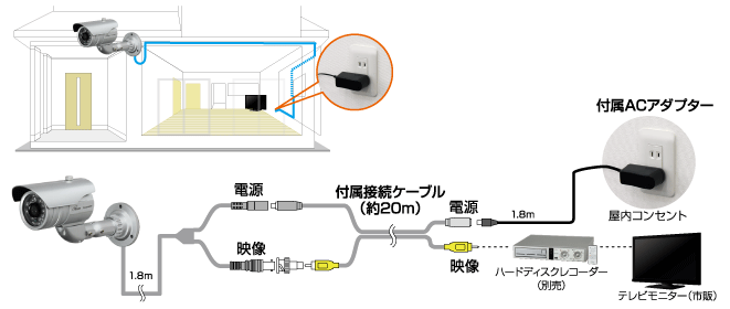 tP[u z}