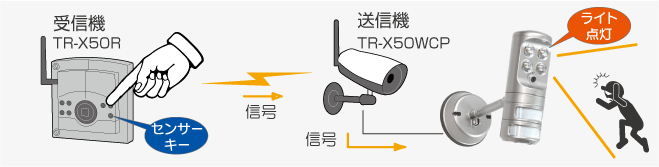 eX^[usq-w50V[YƐڑ