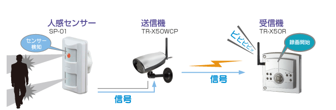 SP-01｜屋外用防犯カメラ｜家庭用防犯カメラ Telstar
